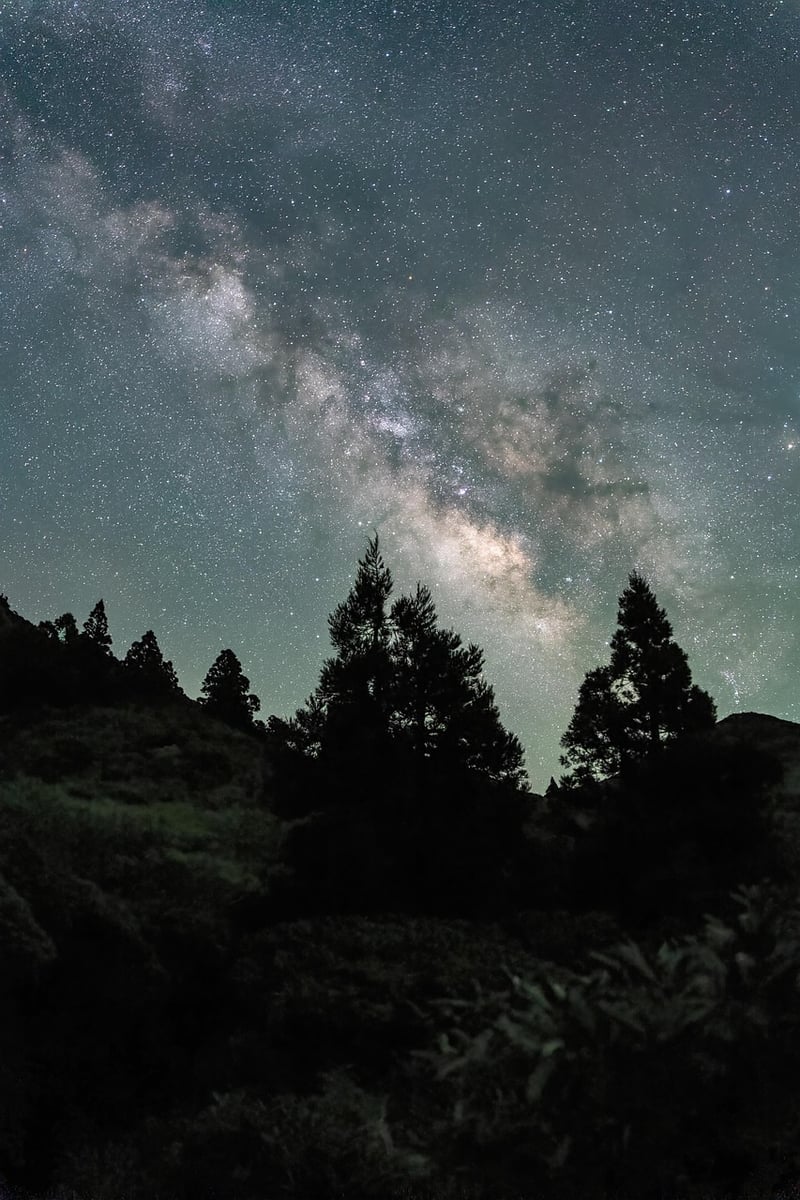 Milky Way Serenade